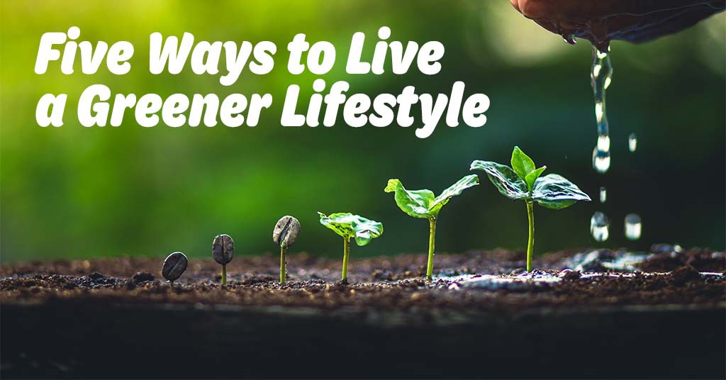GOING GREEN PART ONE: 5 EASY WAYS TO LIVE A GREENER LIFESTYLE