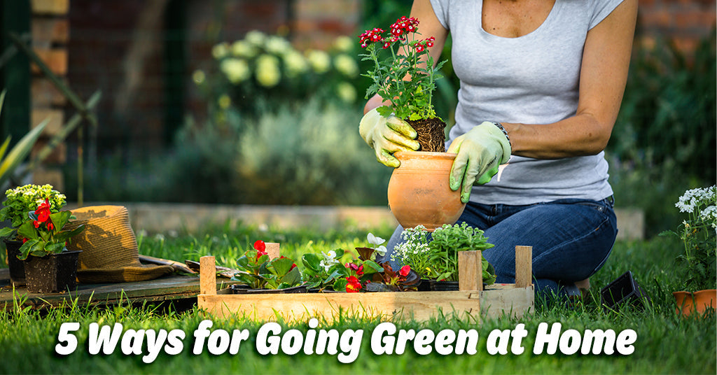GOING GREEN PART THREE: 5 WAYS FOR GOING GREEN AT HOME