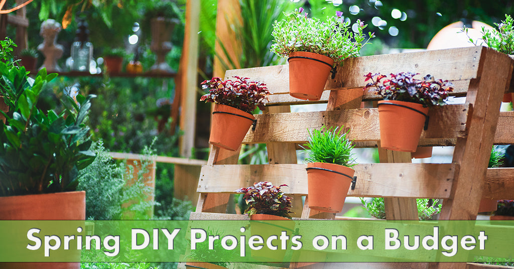 SPRING DIY PROJECTS ON A BUDGET