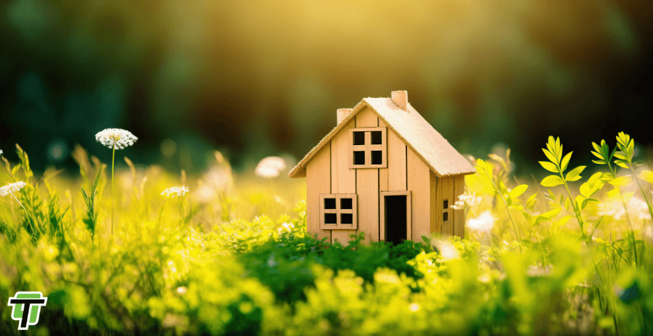 5 WAYS TO GO GREEN THIS SUMMER