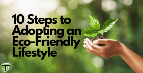 10 STEPS TO ADOPTING AN ECO-FRIENDLY LIFESTYLE